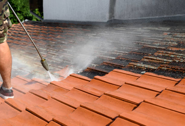 Best Deck Cleaning Services  in Burlington, ND