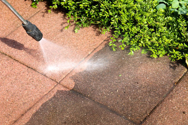 Best Pressure Washing Company Near Me  in Burlington, ND